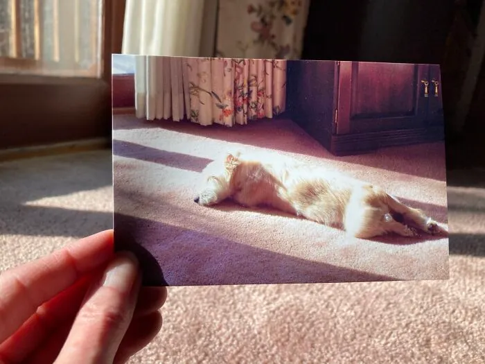 40 Powerful Photos Where People Bring Old Memories Back To Life, As Shared On “Dear Photograph”