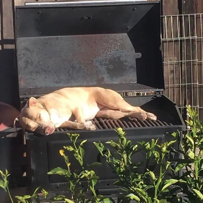 Nap Time
