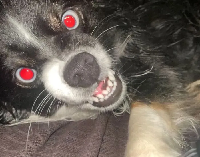 🙈😂