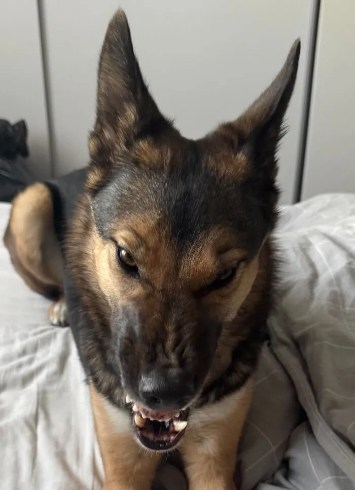 She Was Just Sneezing… But Live Photo Unlocked The Inner Demon 👿😰😰