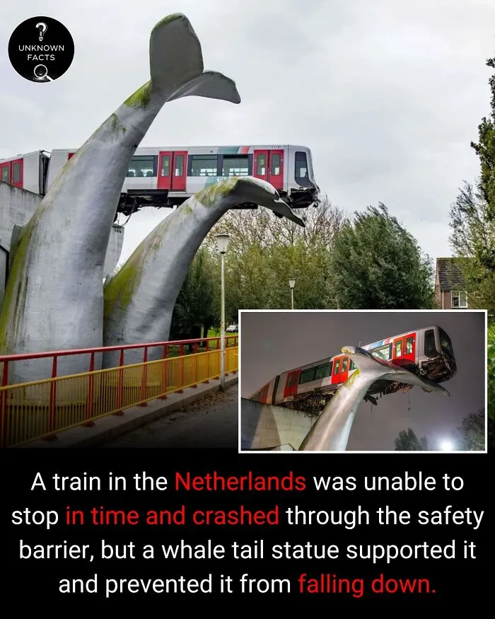 Train resting on a whale tail statue in the Netherlands, an interesting fact of an averted crash.