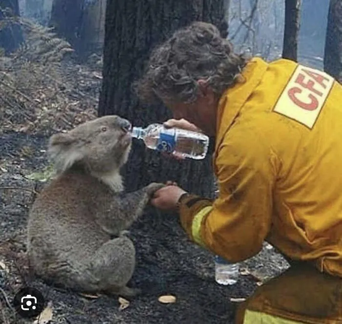 Australia