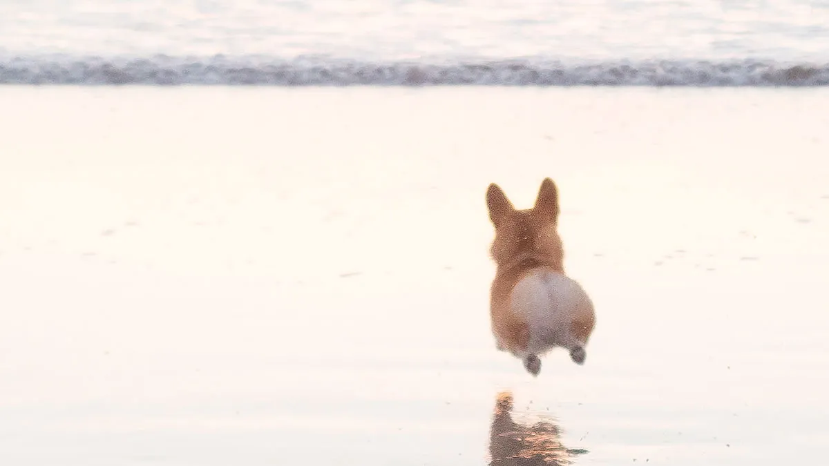 53 Wholesome Internet Finds That Might Just Lift Your Mood