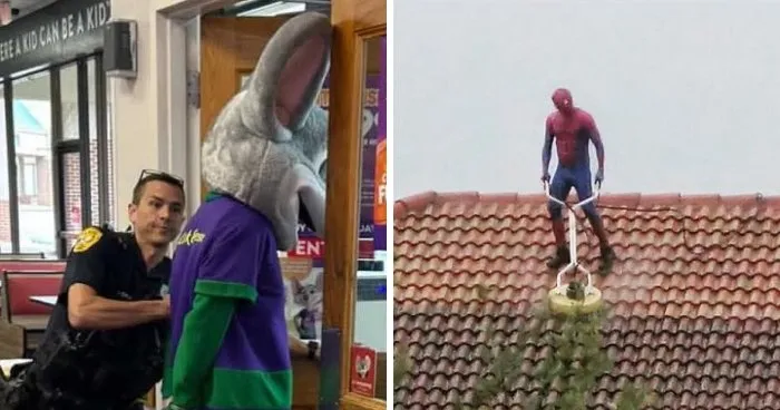 53 Of The Wildest Moments That Show Just How Weird Florida Can Be (New Pics)