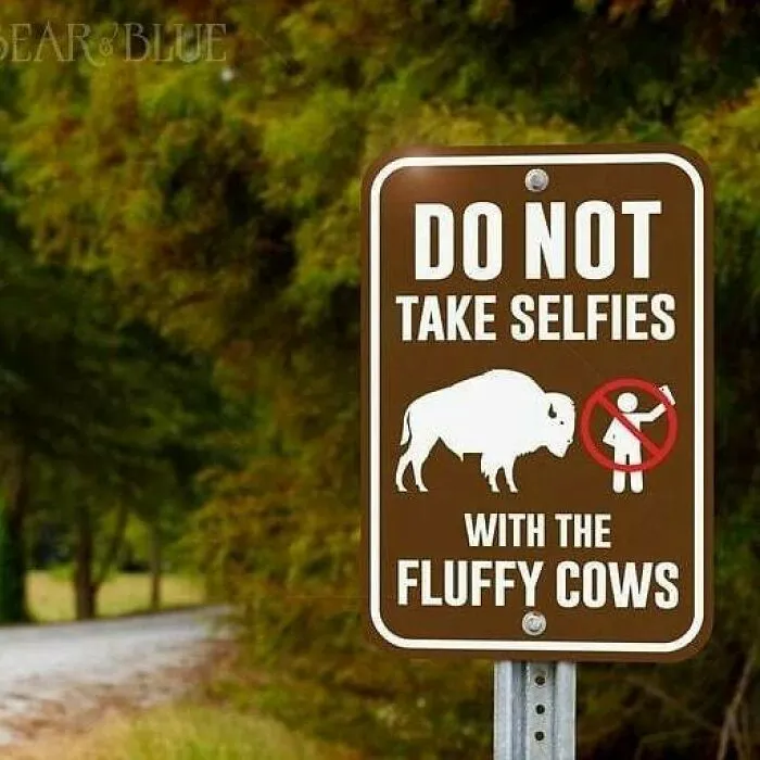 110 Memes That Perfectly Capture Life In The Outdoors