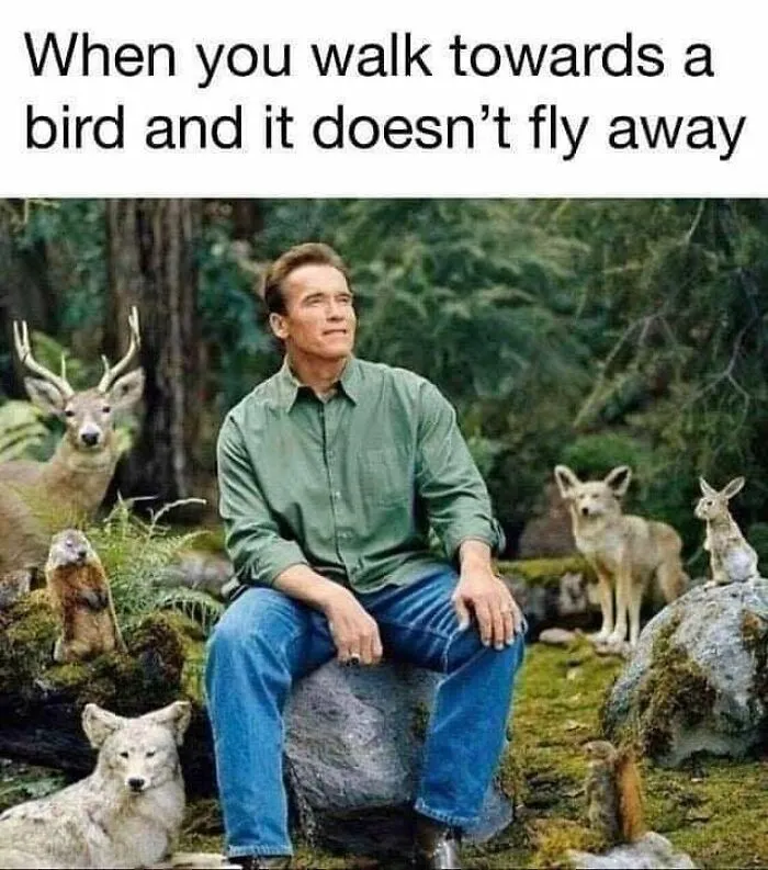 110 Memes That Perfectly Capture Life In The Outdoors