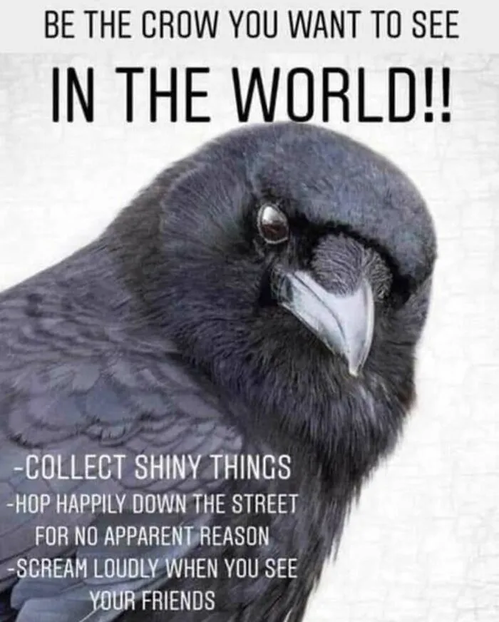 83 Silly Bird Memes To Brighten Up Your Day