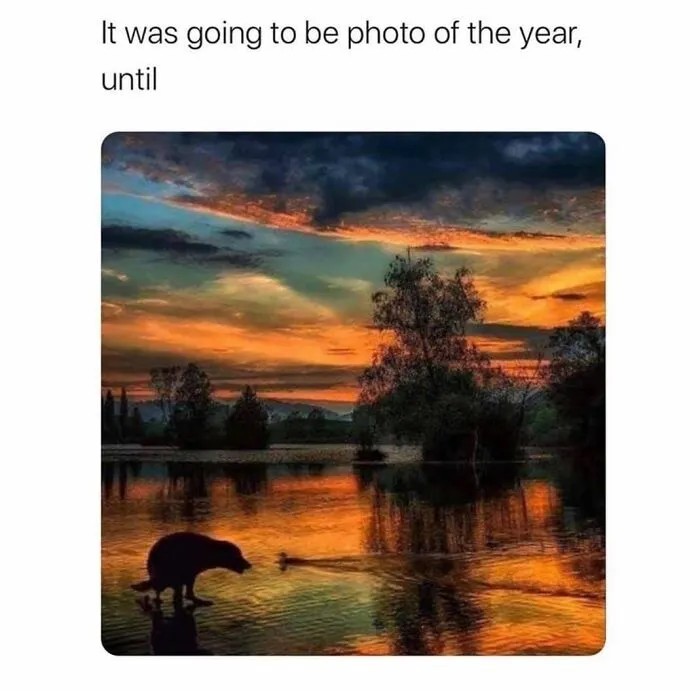 110 Memes That Perfectly Capture Life In The Outdoors
