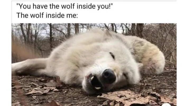 110 Memes That Perfectly Capture Life In The Outdoors