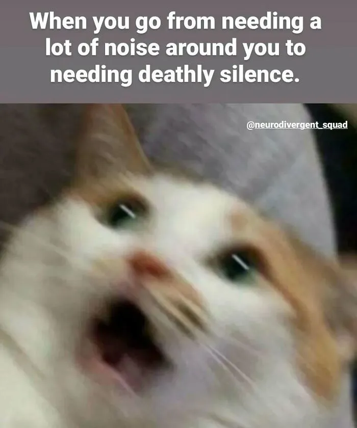 A relatable meme showing a blurry, wide-eyed cat looking shocked, illustrating the need for silence after noise.