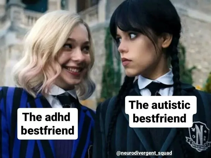 A meme featuring Enid and Wednesday from the show Wednesday. Enid (ADHD) smiles, while Wednesday (autistic) looks on. Relatable memes for brains that never follow the script.