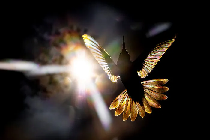 30 Incredible Moments In Nature Captured By Michel d'Oultremont