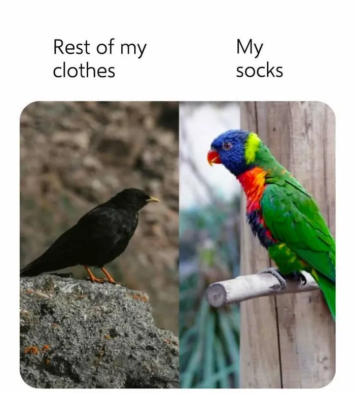 79 Silly Memes That Feel Suspiciously Relatable