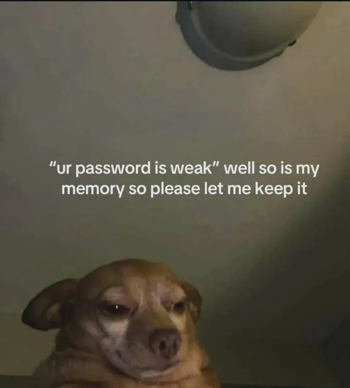 79 Silly Memes That Feel Suspiciously Relatable