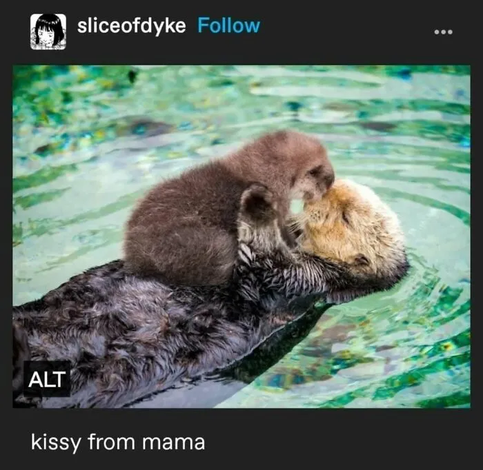 “I Hate It, Thank You”: 95 Funny Tumblr Posts And Memes From A Platform Some Thought Was Obsolete