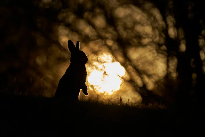 40 Incredible Outdoor Photos That Show The World Through Gianluca Gianferrari’s Lens
