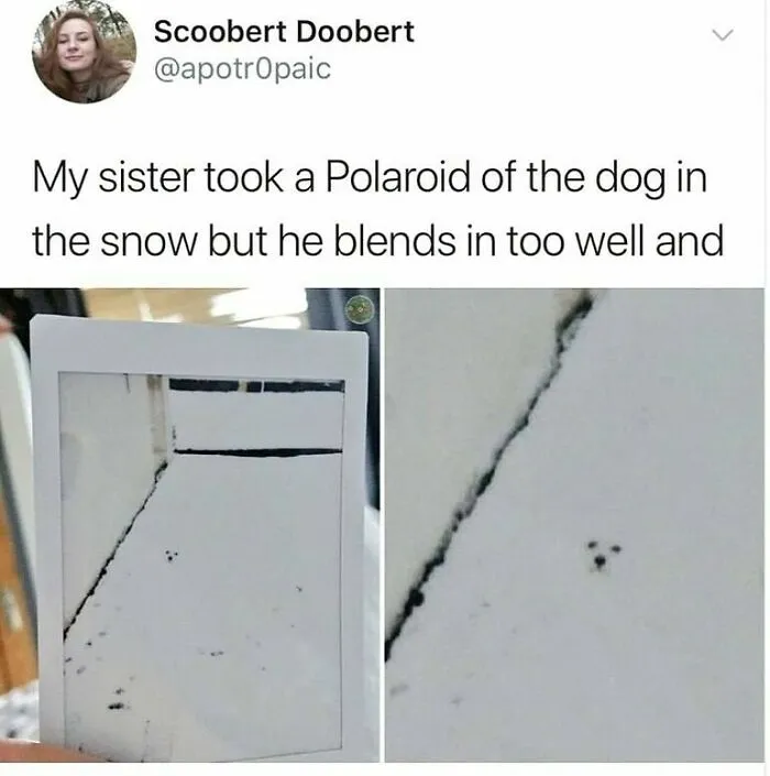 75 Unhinged Posts That Feel Like Pure Internet Chaos