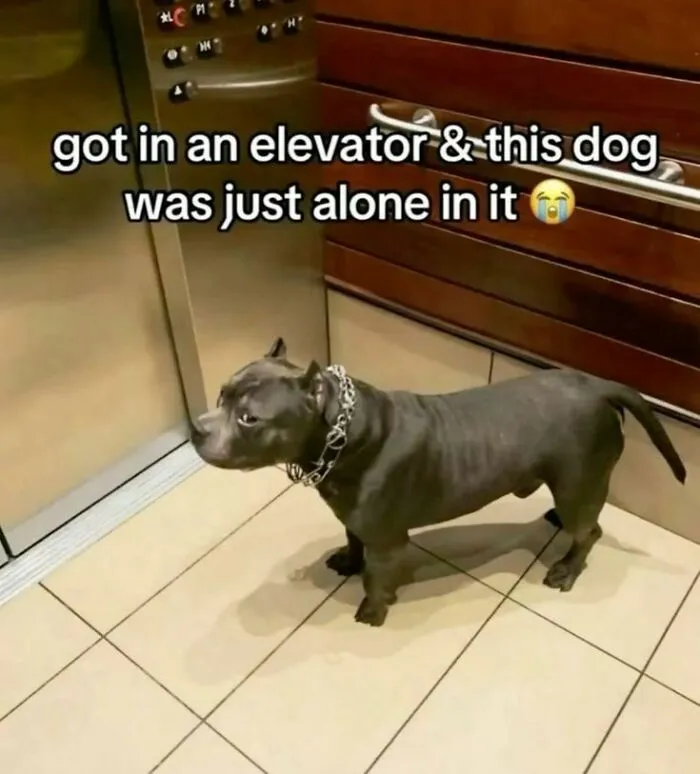 40 Random Images That Make Absolutely No Sense But Are Still Funny