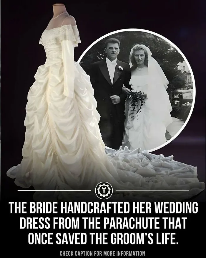79 Bizarre Facts And Stories About The World That Might Break Your Brain