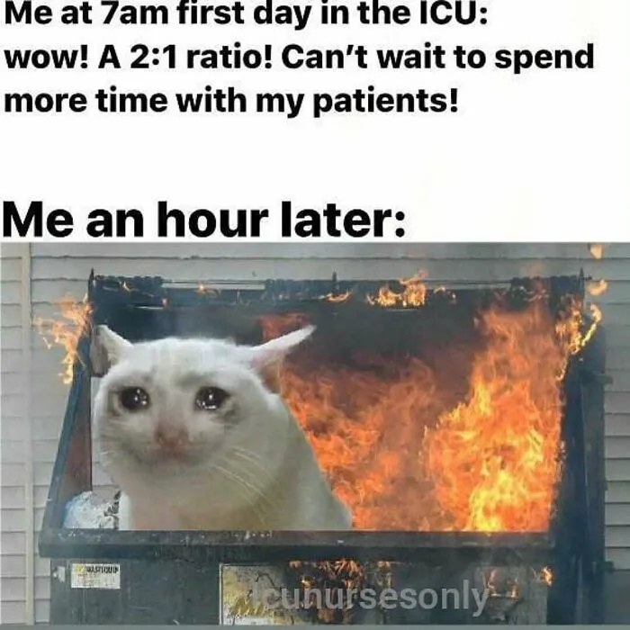 Nurses Don’t Have Time To Scroll Memes, But If They Did, They Would Probably Like These 69 