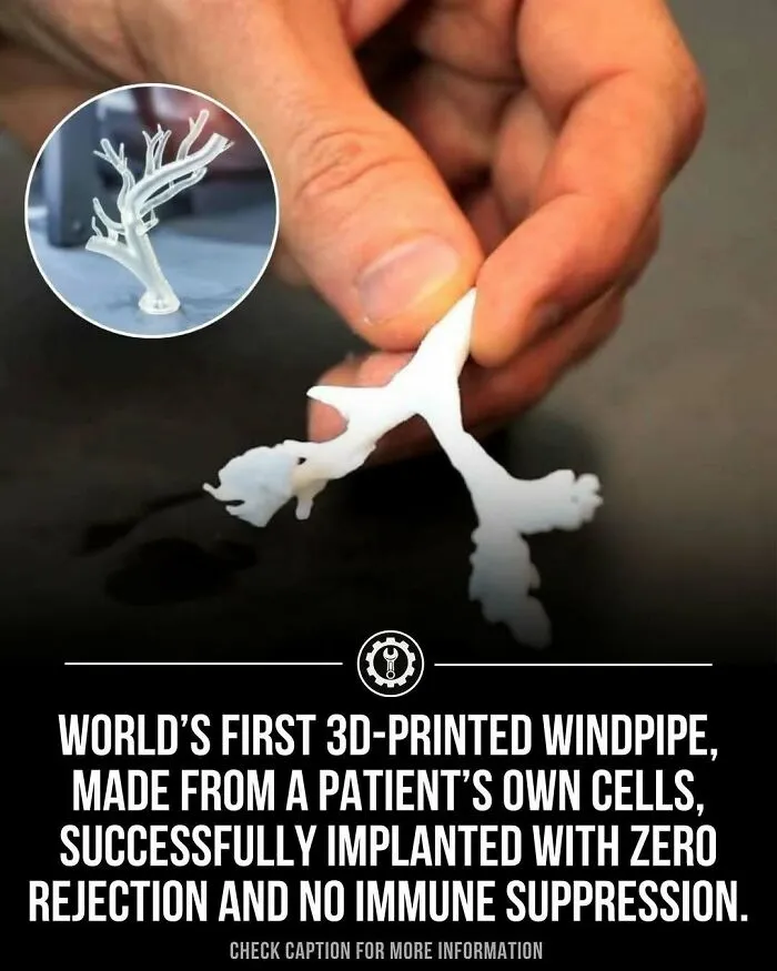 79 Bizarre Facts And Stories About The World That Might Break Your Brain