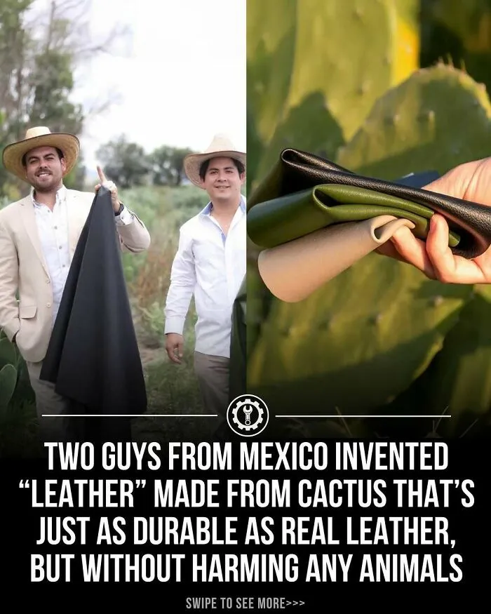 79 Bizarre Facts And Stories About The World That Might Break Your Brain