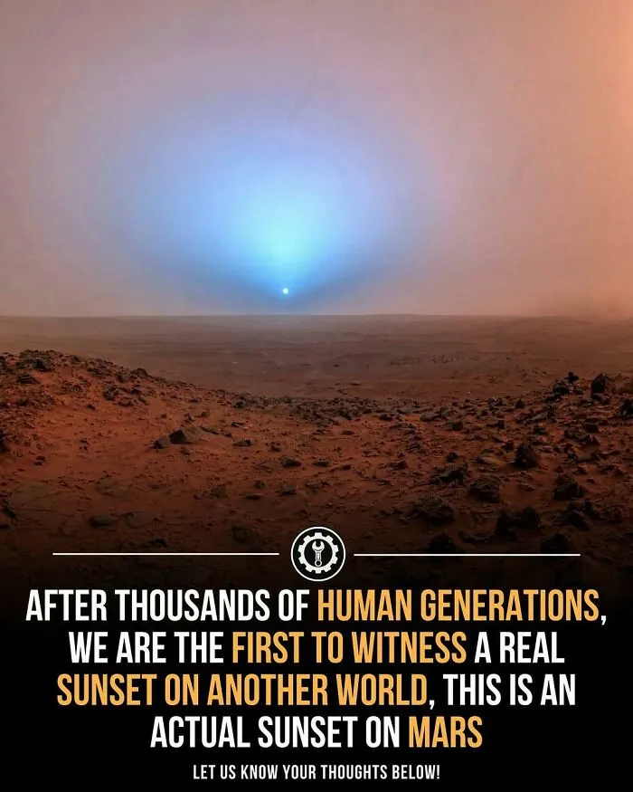 79 Bizarre Facts And Stories About The World That Might Break Your Brain
