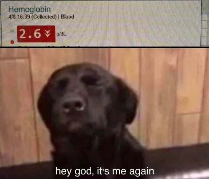 A funny nurse meme shows a dog looking worried at low hemoglobin results, reflecting relatable hospital life.