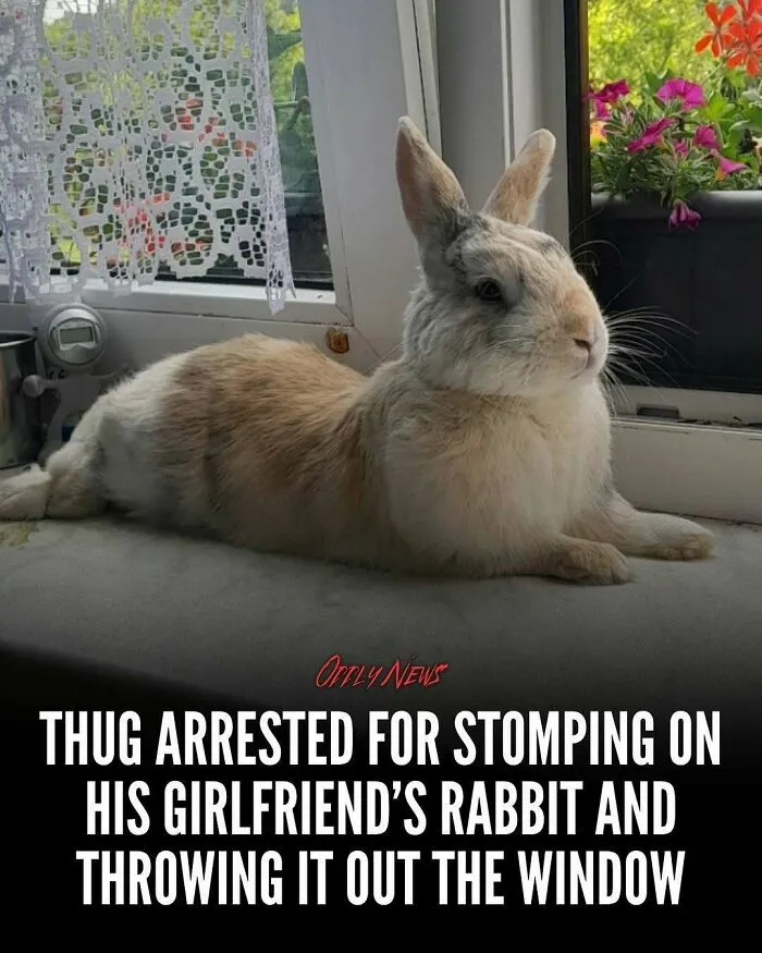 “340 Pound Foster Mother Sat On Him”: 79 Disturbing Posts That Prove The World Is A Really Scary Place