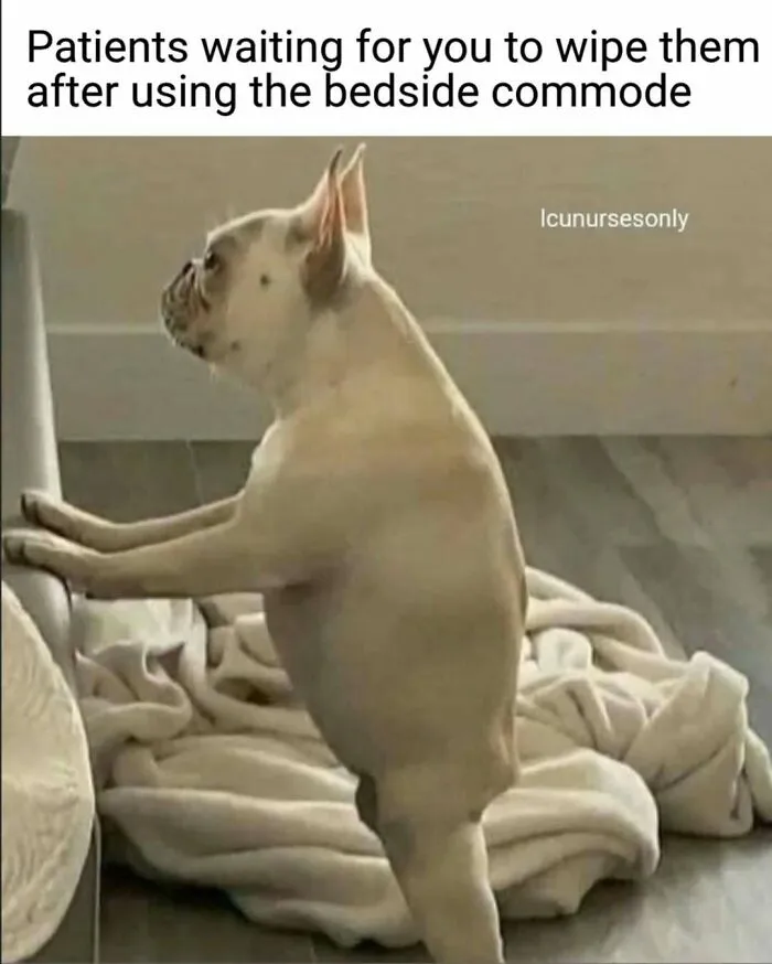 Nurses Don’t Have Time To Scroll Memes, But If They Did, They Would Probably Like These 69 