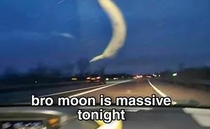 40 Random Images That Make Absolutely No Sense But Are Still Funny
