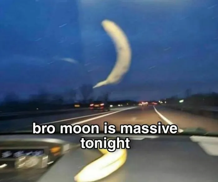 40 Random Images That Make Absolutely No Sense But Are Still Funny