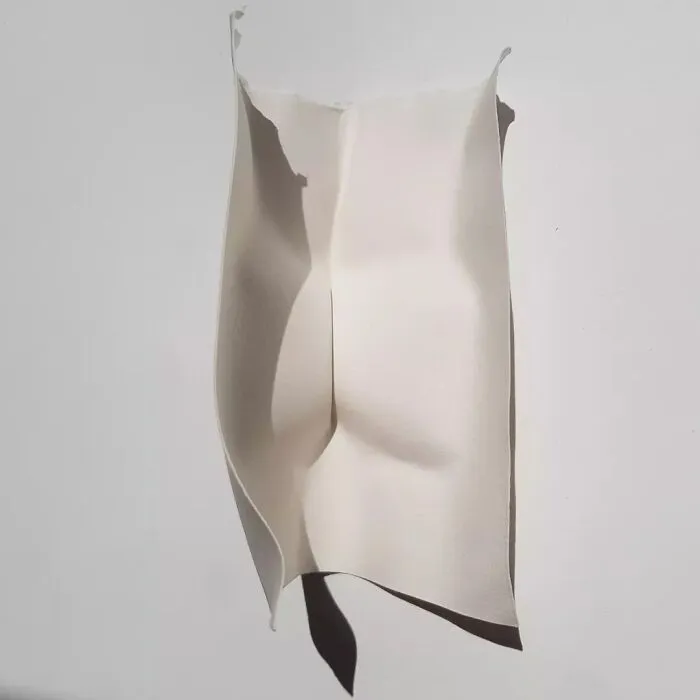Torso