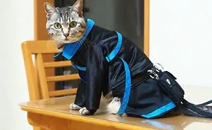 23 Handmade Costumes That This Guy Created For His Cats' Cosplays (New Pics)