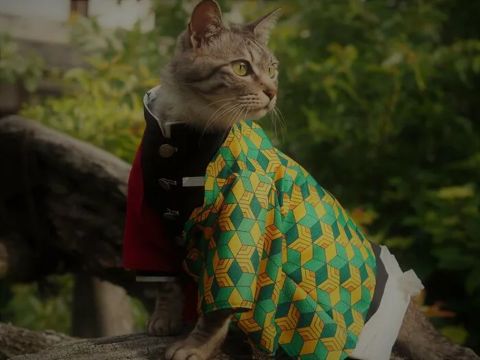 23 Handmade Costumes That This Guy Created For His Cats' Cosplays (New Pics)