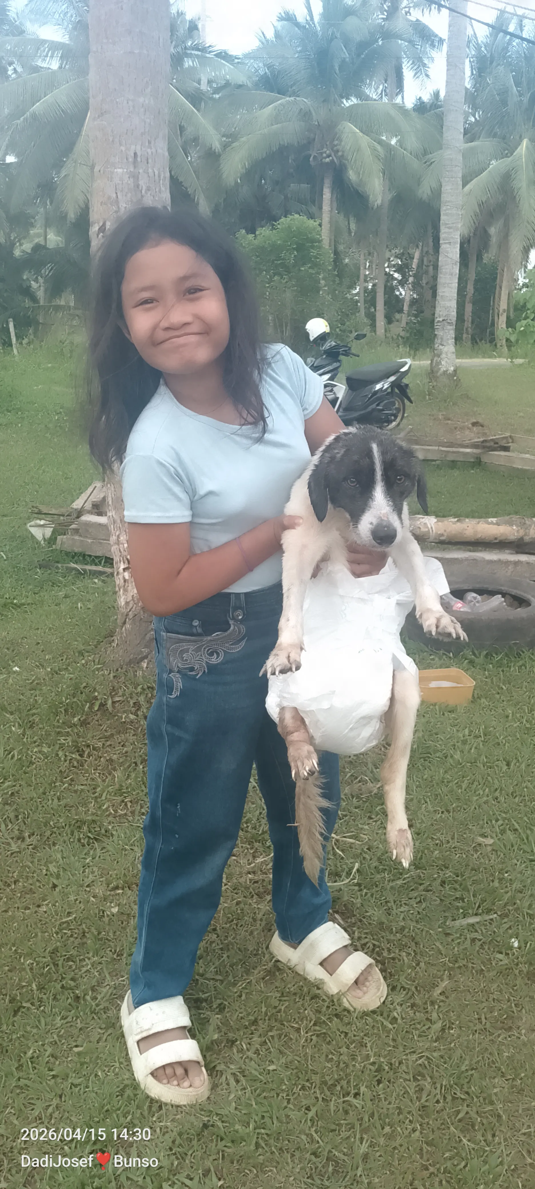 Run Free, Bruno: A Story Of Love That Never Left