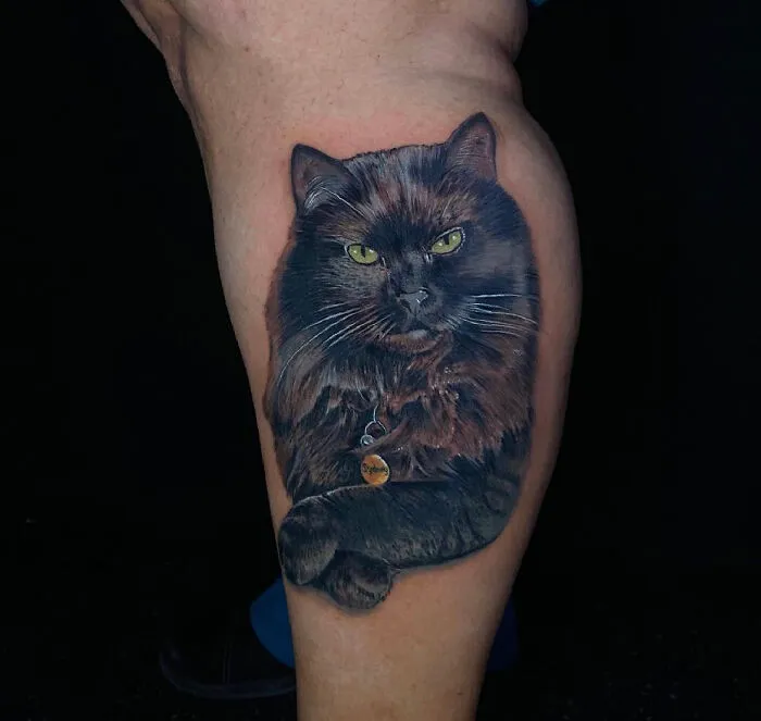 More Than Just A Pet