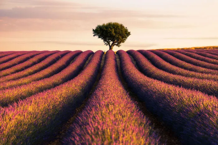 This Photographer Captured 48 Breathtaking Landscapes From Mountains, Coasts, And Night Skies
