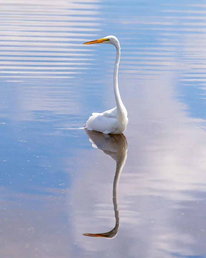 Mirror Of Grace