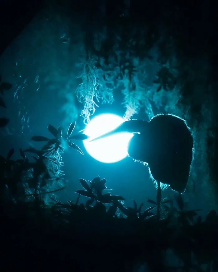 Moonlight