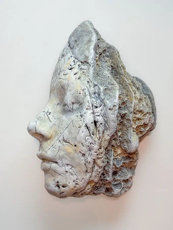 The Entropic Human