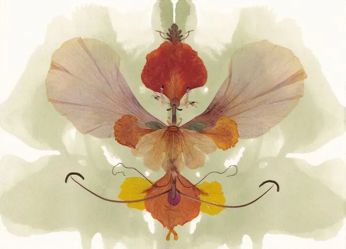 Botanical Beings