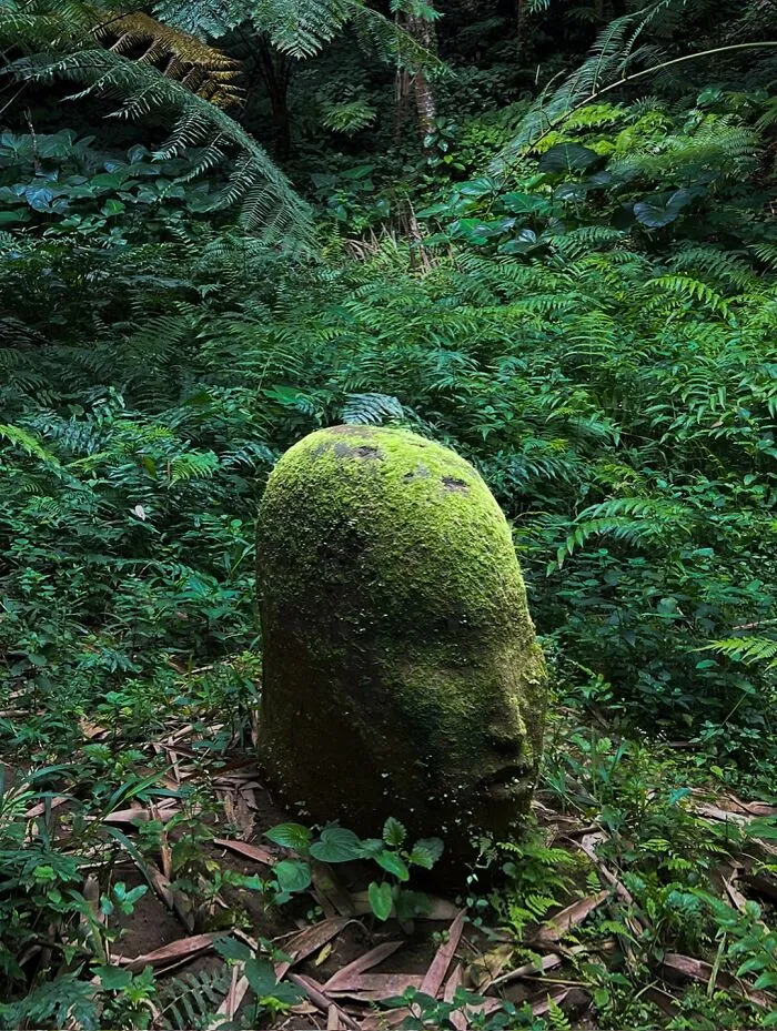 Earth Body