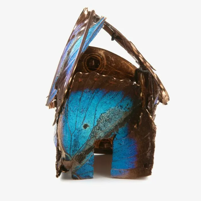 Our Fragile Home