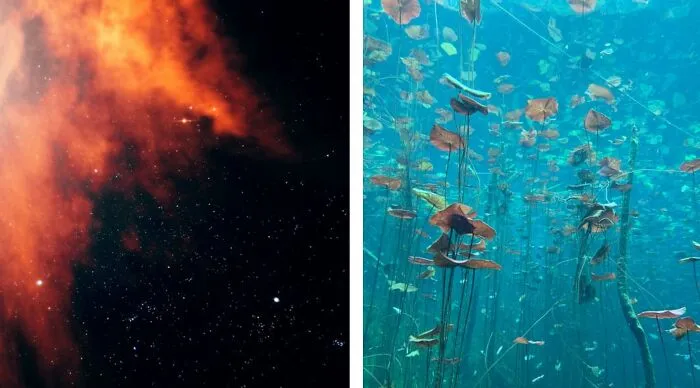 Fly To Space And Discover A New Planet, Or Go On A Deep Submarine Adventure And Discover A New Underwater Land? 
