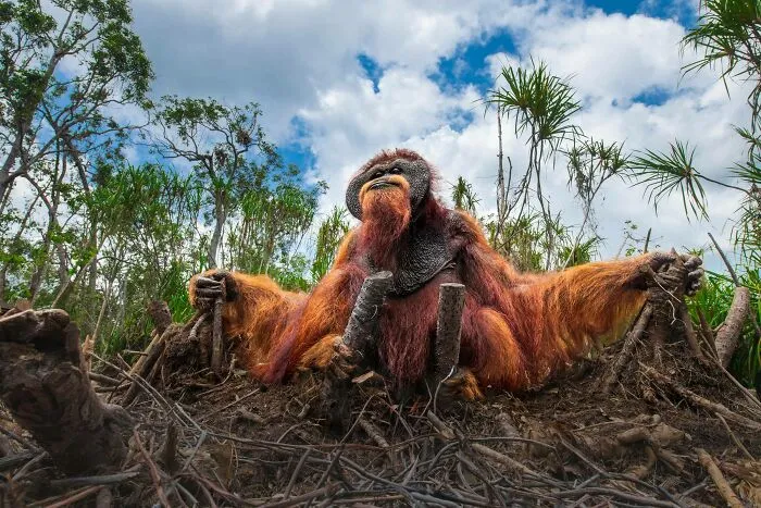 Photography Of The Year: Please Spare Our Home By Thomas Vijayan