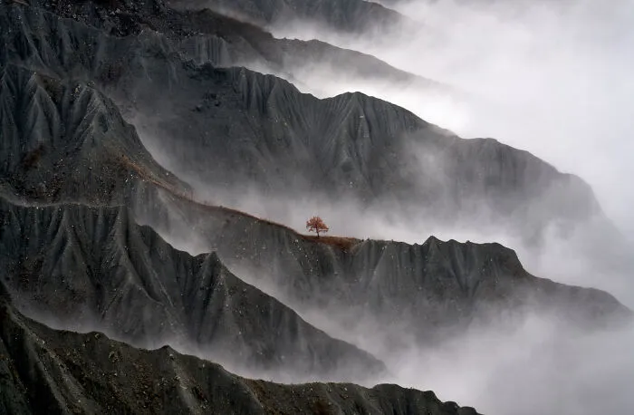 Resilient Tree