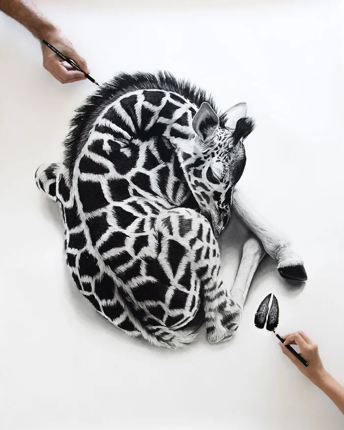 Baby Paws, Giraffe