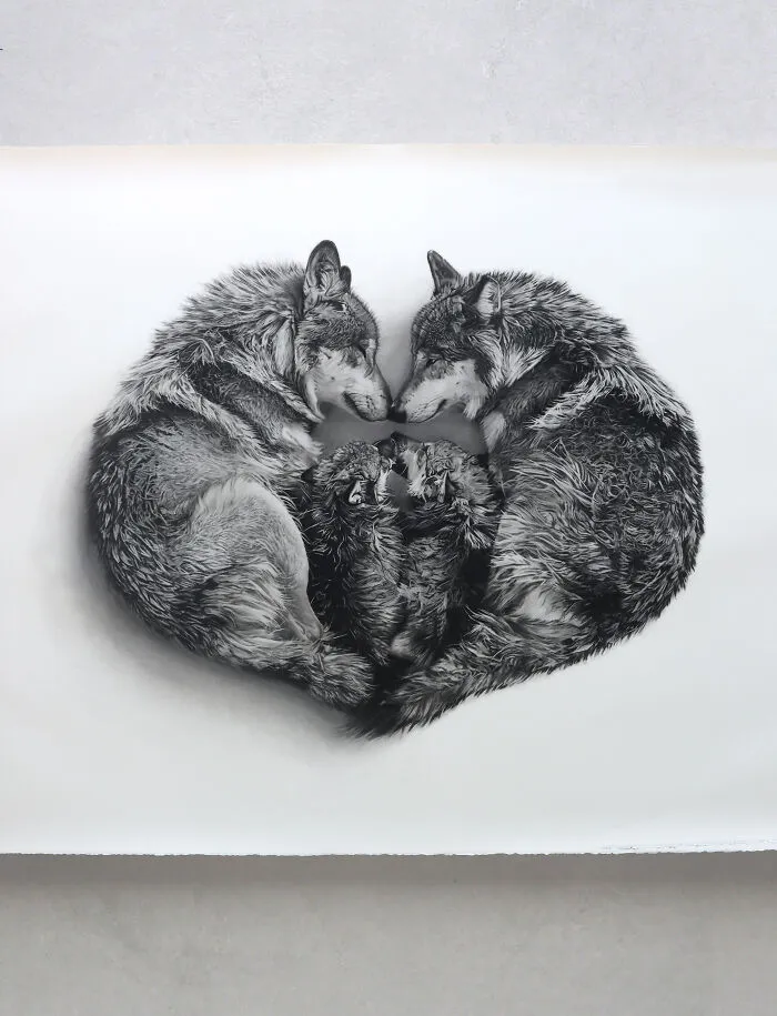Wild Hearts, Wolves