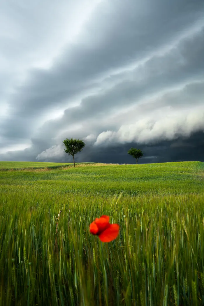 This Photographer Captured 48 Breathtaking Landscapes From Mountains, Coasts, And Night Skies